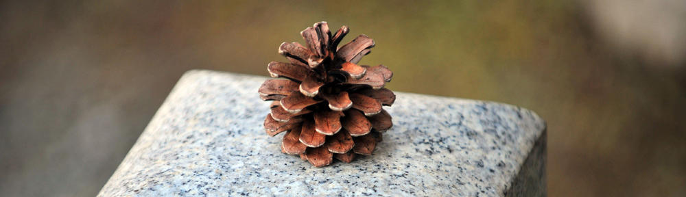 bonapipet